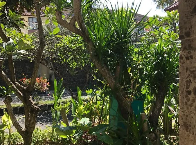 Largest In Royal C1 - Turquoise Kuta (Bali)